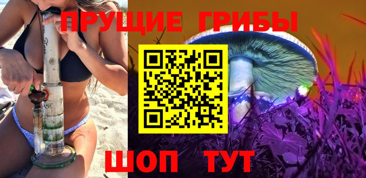 Сыктывкар  Псилоцибиновые грибы MAGIC MUSHROOMS  Вход с VPN 